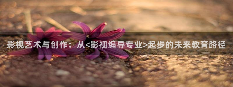 被窝电影电视剧在线观看