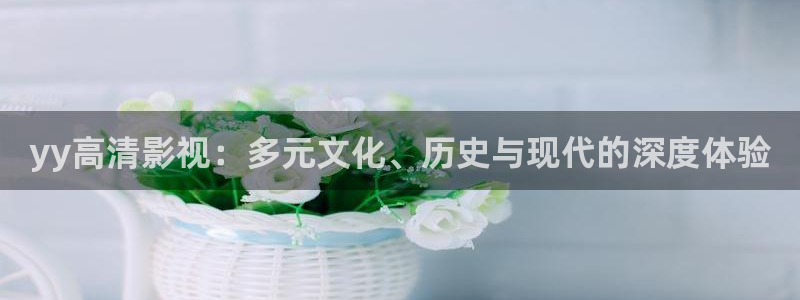 被窝理论影院：yy高清影视：多元文化、历史与现代的深度体验