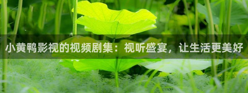 被窝手机影院：小黄鸭影视的视频剧集：视听盛宴，让生活更美好