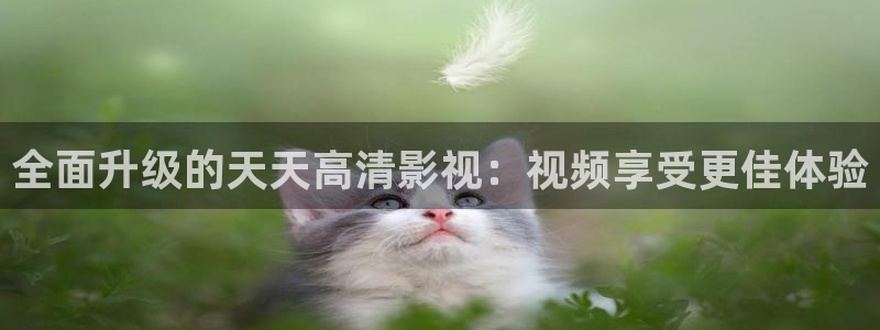 被窝影视在线观看：全面升级的天天高清影视：视频享受更佳体验